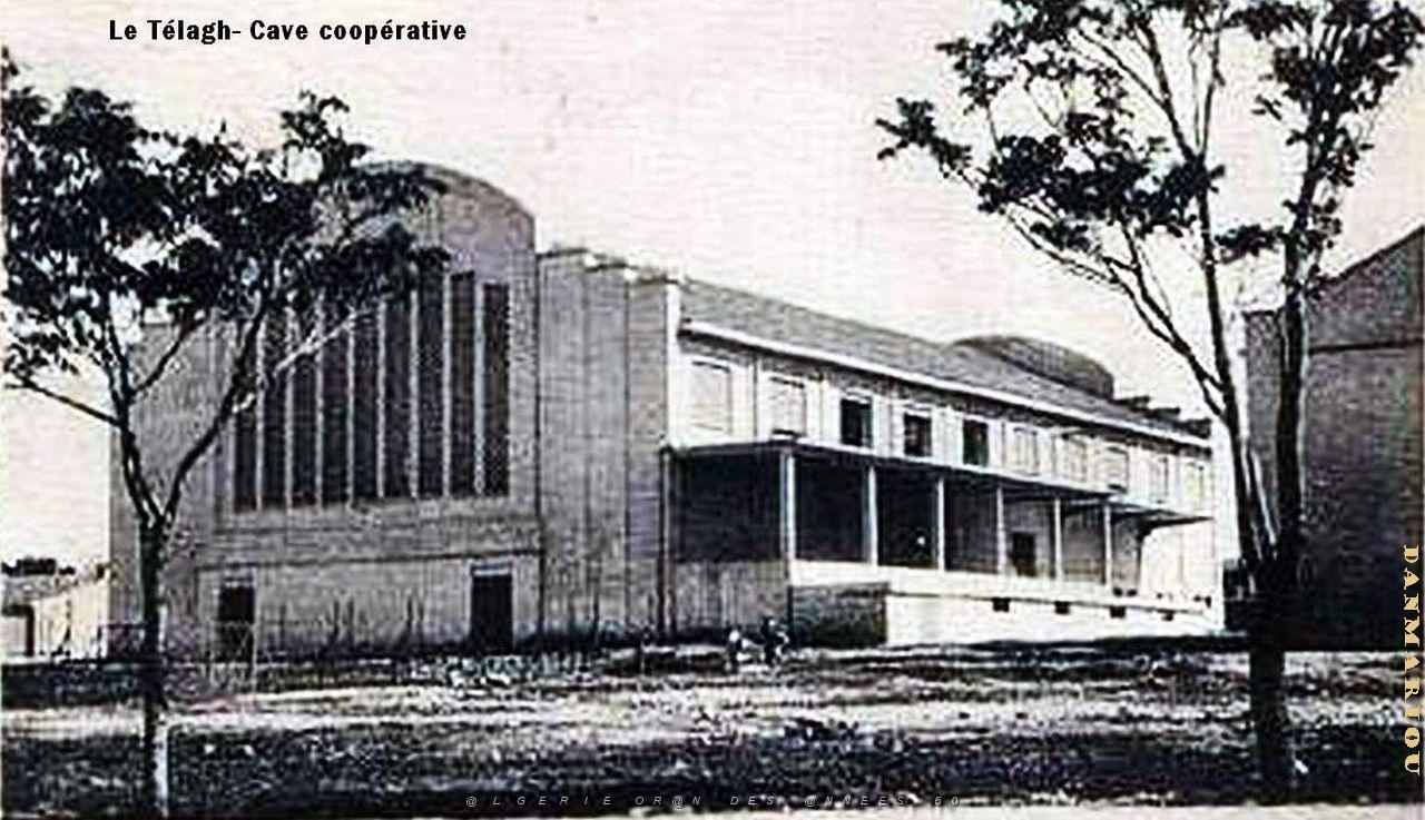 Telagh 606.jpg